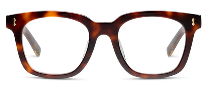 Lakefront (Progressives)